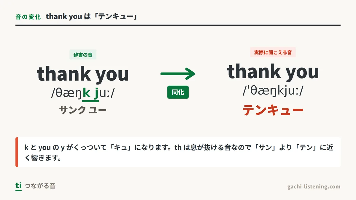 thank you が「テンキュー」に変化する音の図解